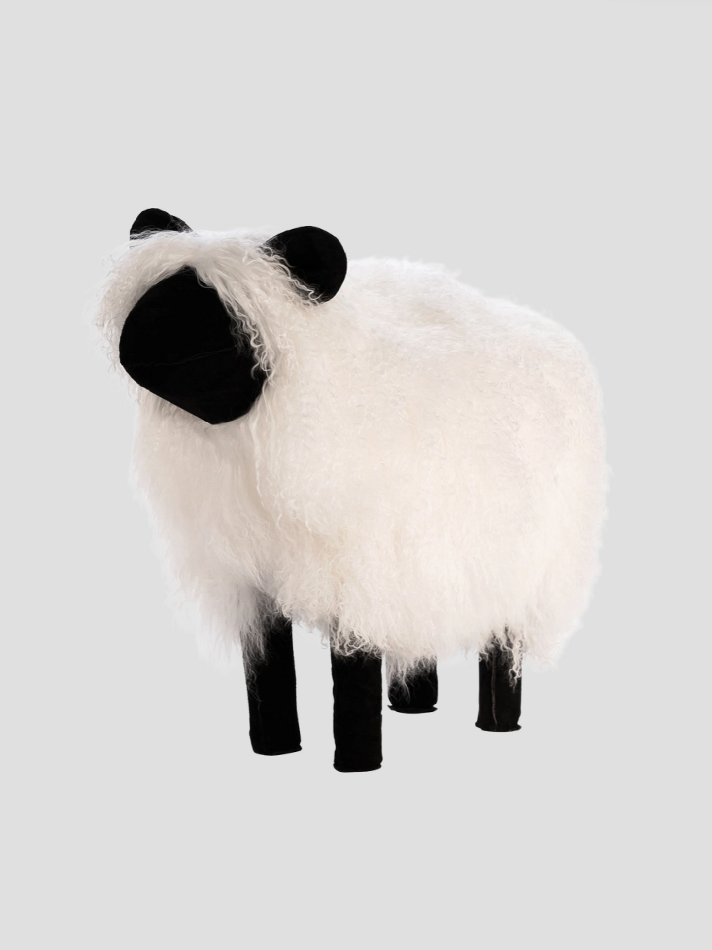 Tibetan White Sheepskin Sheep