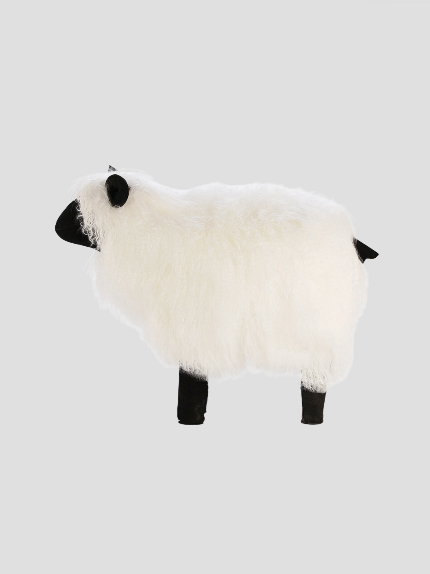 Tibetan White Sheepskin Sheep