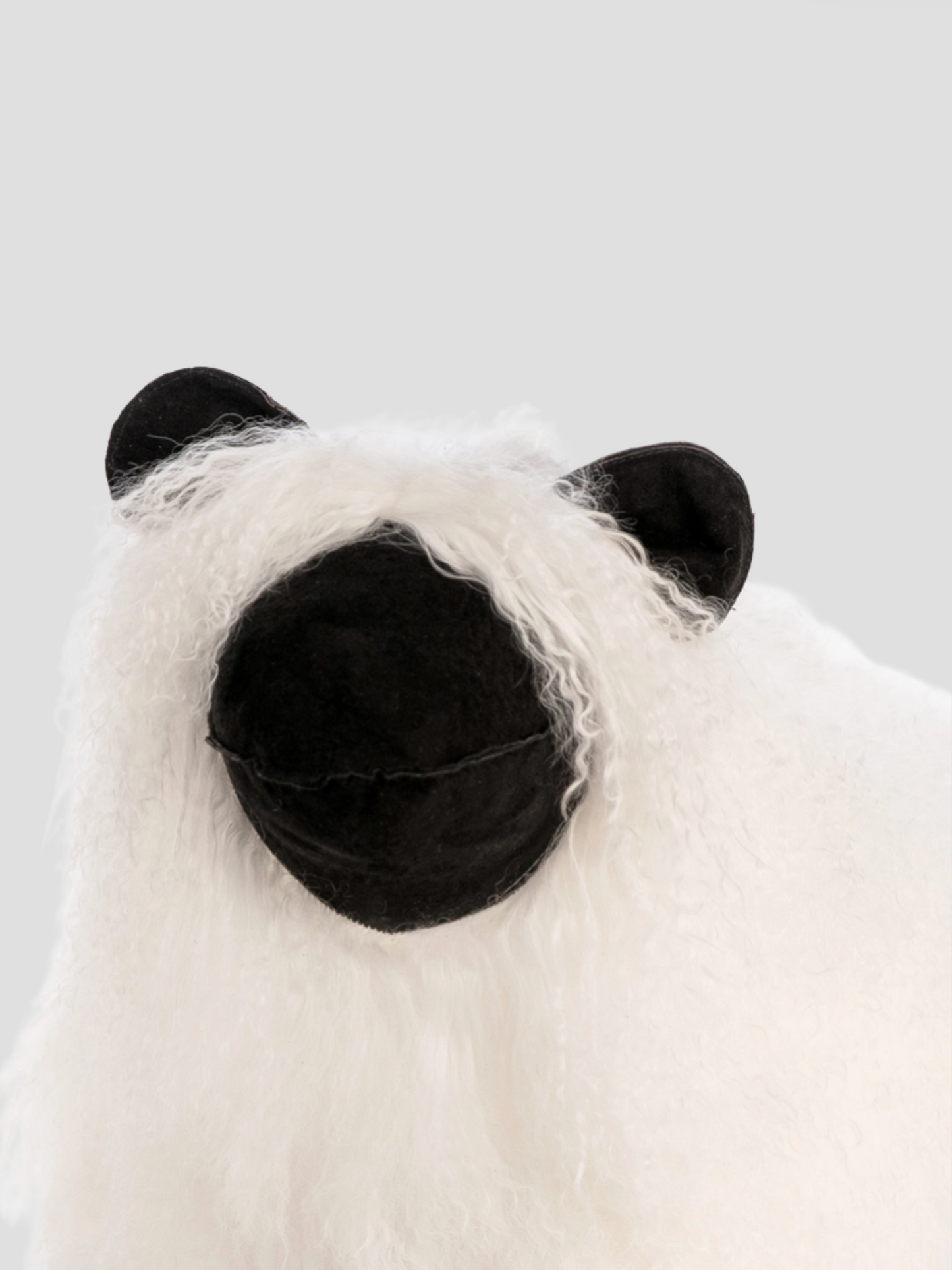 Tibetan White Sheepskin Sheep