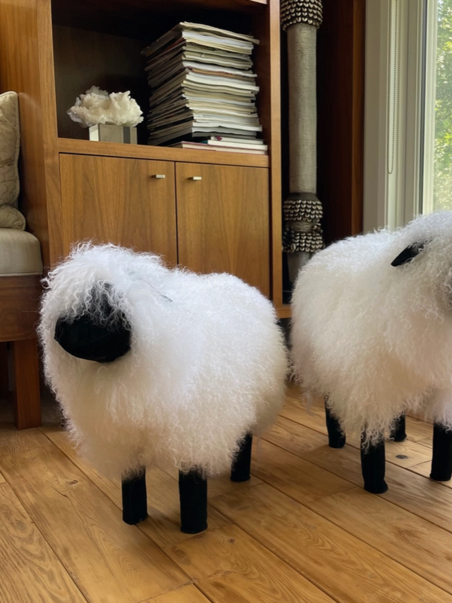 Tibetan White Sheepskin Sheep