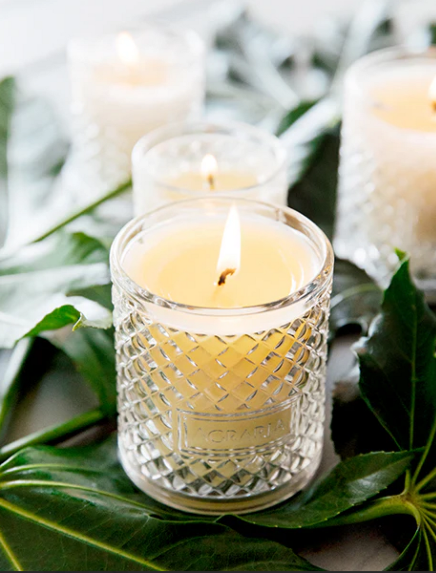 Agraria Mediterranean Jasmine Perfume Candle