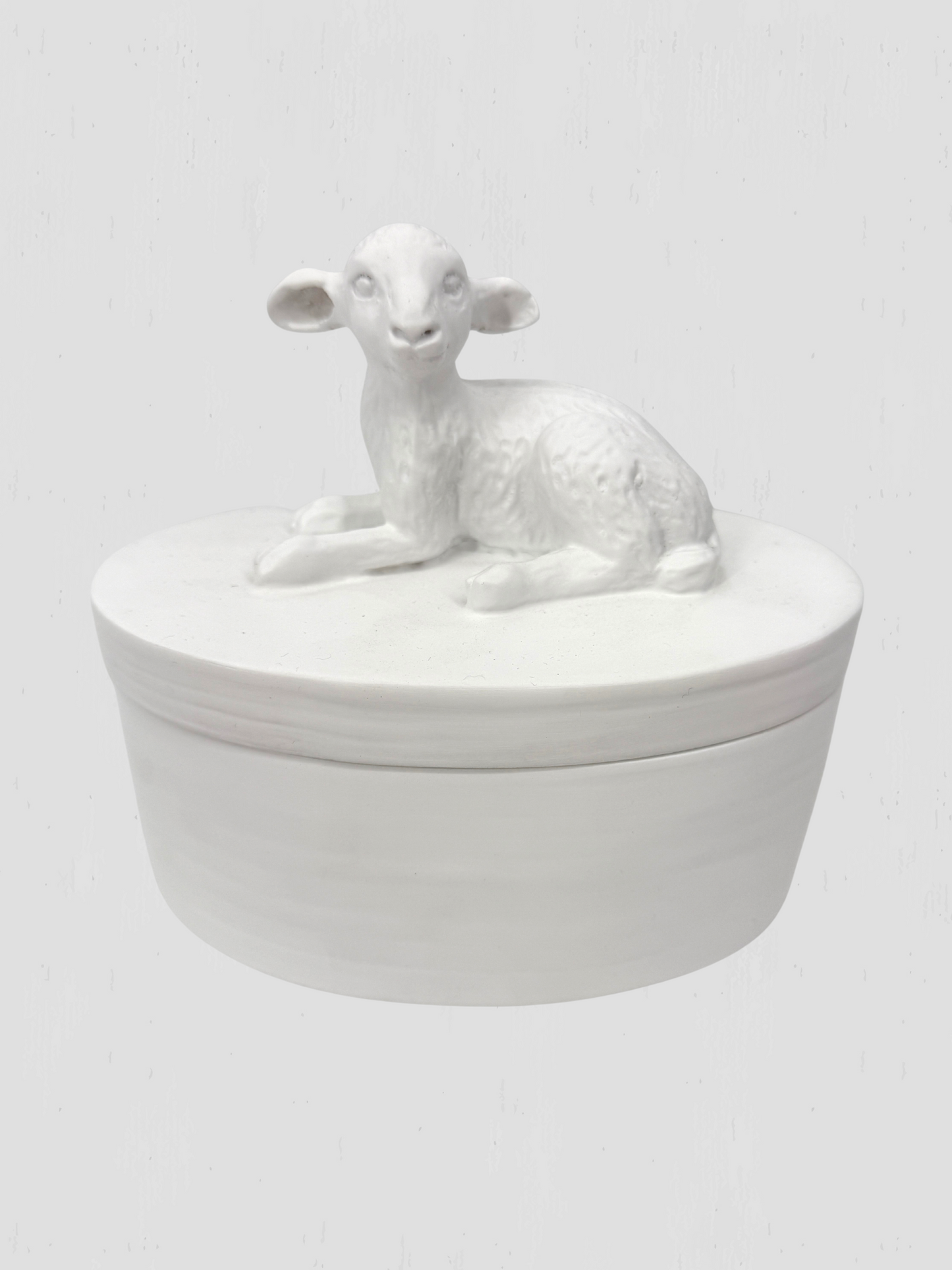 Oly Studio White Cast Resin Lamb Lidded Fable Box Animalia