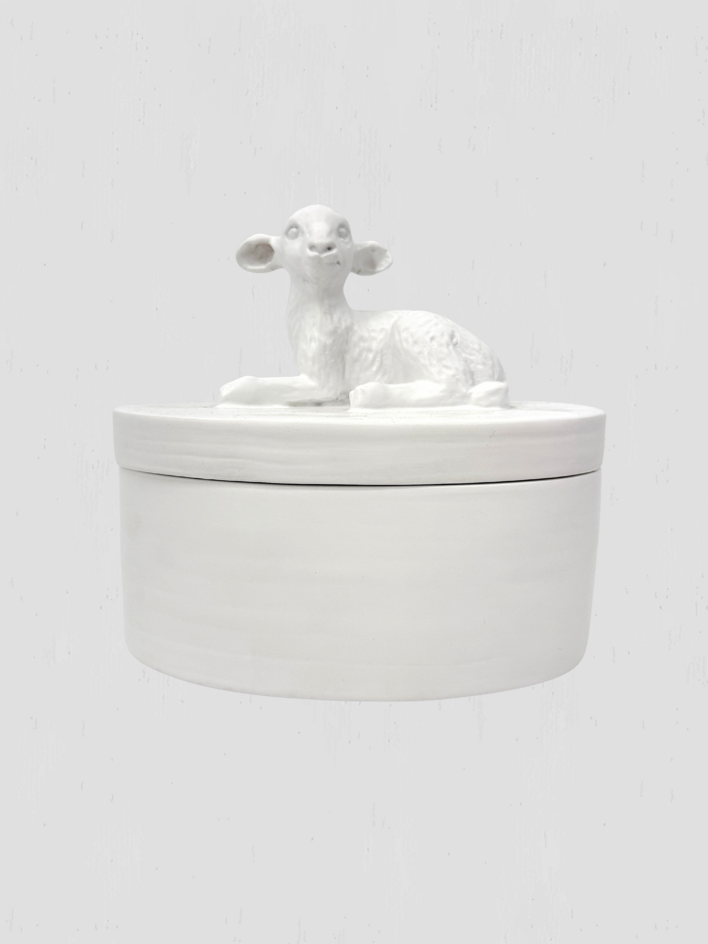 Oly Studio White Cast Resin Lamb Lidded Fable Box Animalia